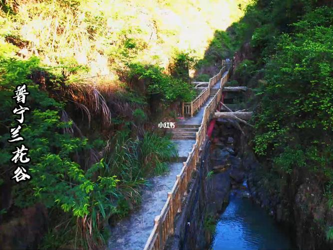 普宁风景兰花谷_景点_风景_普宁广场自由行热门攻略_游玩_普宁_出行