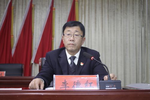 《代表议案,建议办理情况的报告》,依法选举产生了高庄镇人民政府镇长
