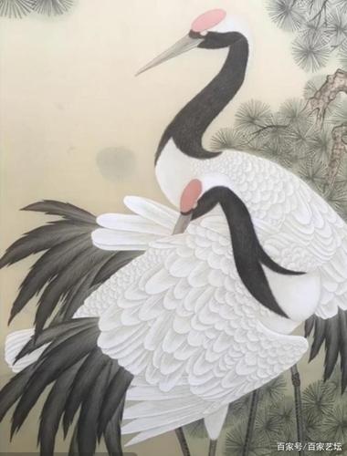 如何画好工笔仙鹤步骤图,初学者必看,值得收藏