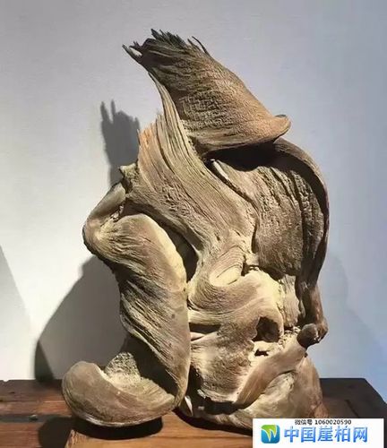 100万元以上崖柏图片欣赏