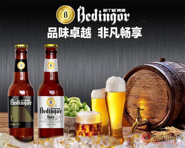 夜场小支精酿啤酒代理多少钱