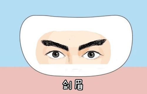 眉毛看运势,一种眉毛一种命,看你的眉毛是什么样什么命?