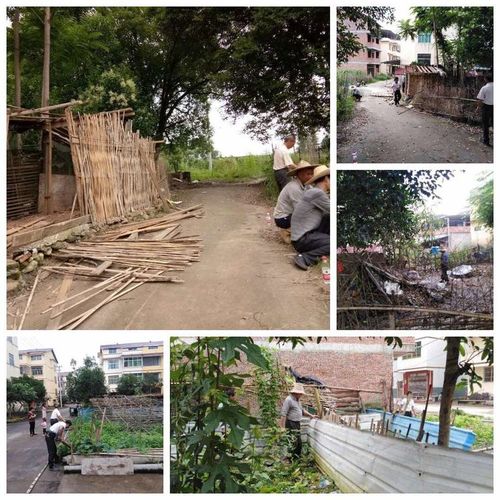 市级乡村振兴示范村夏茂镇长阜村:补短强基 集中兵力