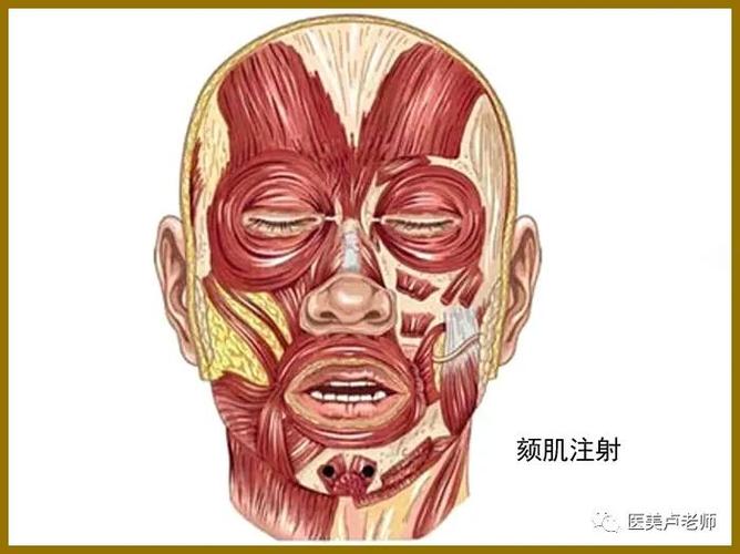 垂直皮肤进针,触及骨膜后退针至肌肉中,肌内注射 辅助治疗-- 无 术后