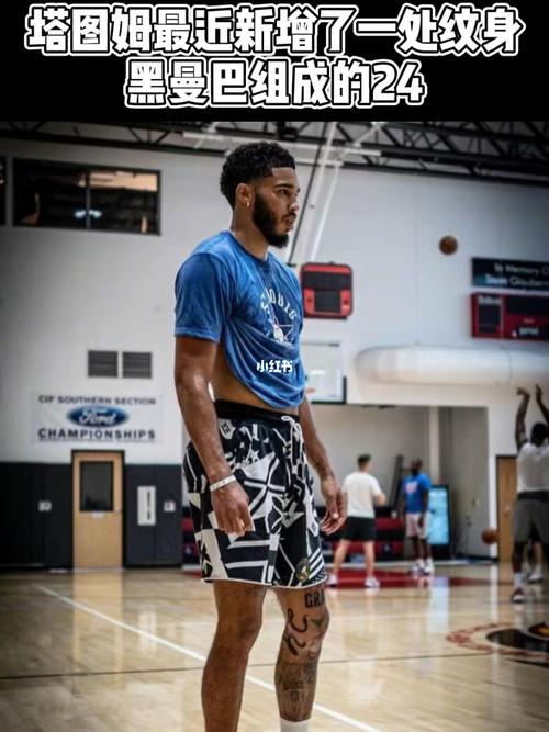 塔图姆最近新增了一处纹身,黑曼巴组成的24_纹身_科比