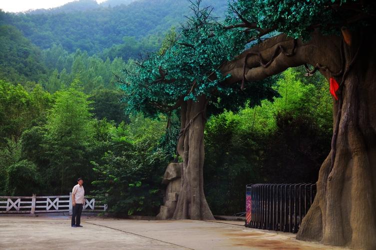 居士林部走进"内乡桃花源"花絮