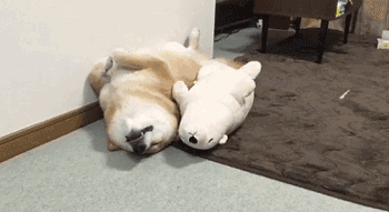 新年旺旺旺从换个狗头开始