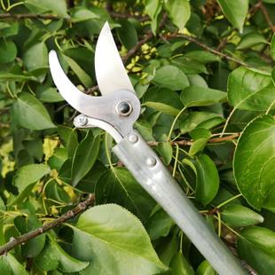 高空修枝剪高枝剪枝剪2.5米长高空剪刀果树园林剪枝剪苗木修枝剪