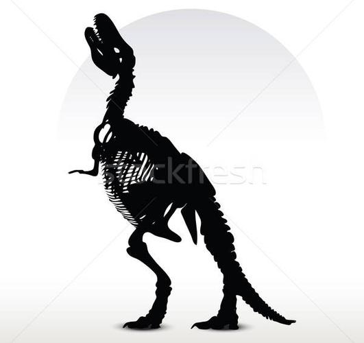 商业照片: 恐龙 · 骨架 · 向量 · 图像 · 孤立 ·白