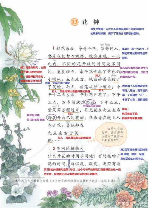 三年级语文下册第13课《花钟》课文笔记考点复习备考课后习题答案