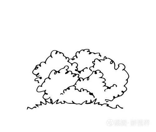 手绘建筑师灌木, 矢量素描, 建筑插图