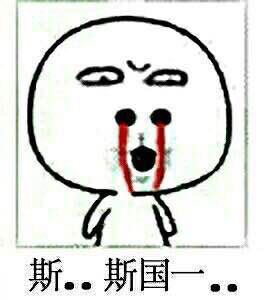 表情包名称: 斯国一 关注公众号 bqbn33,每日更新斗图表情包!
