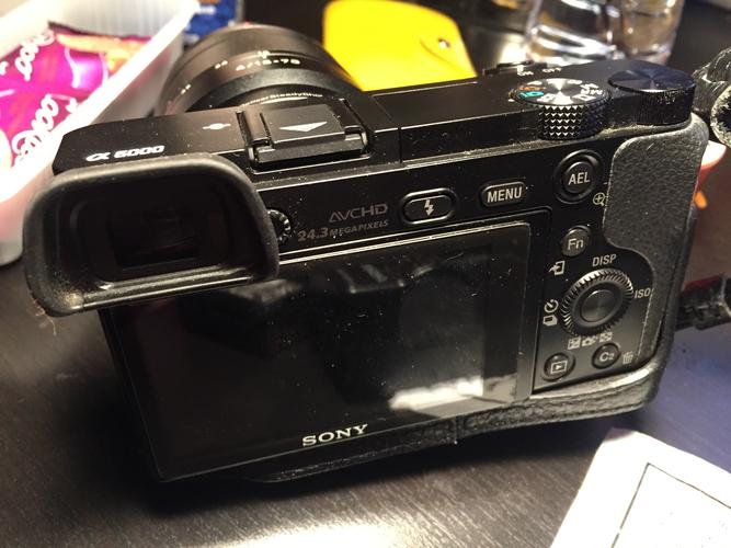 sony a6000  蔡司1670f4