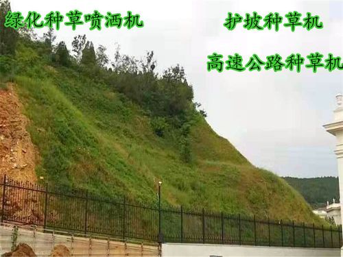 台湾省边坡植草喷播机种草机机器