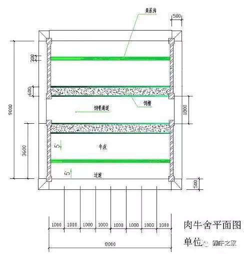 养牛场建设方法牛舍建设图纸及相关数据