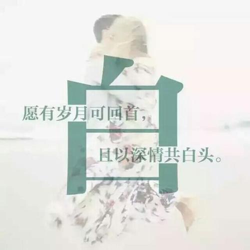 微信,qq头像:百家姓,情侣控