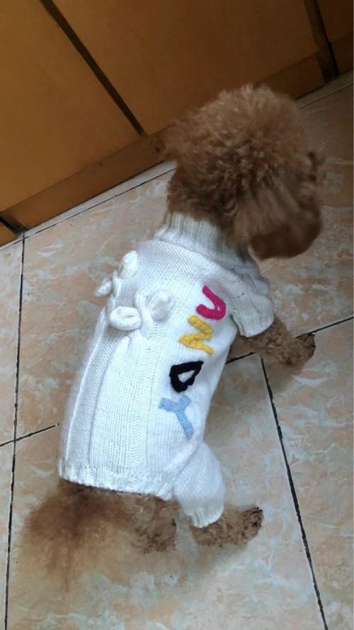 迪的美衣 宠物狗棒针蝴蝶钩花字母毛衣-编织教程-编织人生