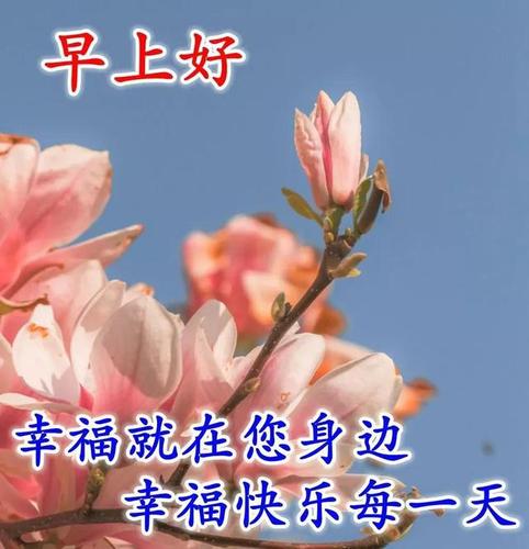 大家早上好免打字带祝福语图片周五早安心语祝福句子