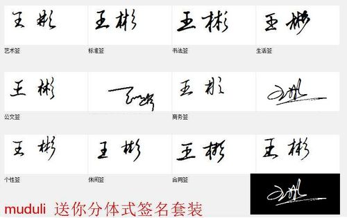 帮忙设计一下艺术签名:王彬, 拜托各位高手给多设计几