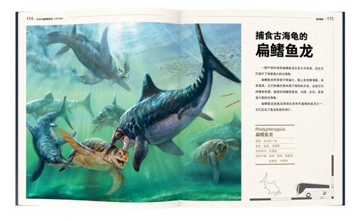经典再版丨生命认知启蒙科学艺术图画书《pnso儿童百科全书》第3版