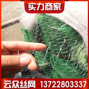 塑料鸟网