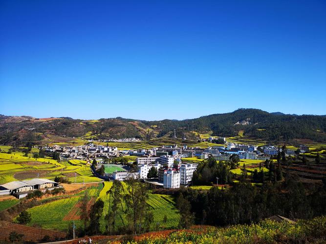 运动人生,游骑花海——峨山县自行车协会,银河户外助力"开新街油菜花