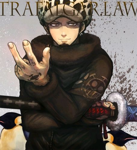 海贼王p站搬运死亡外科医生特拉法尔加罗同人图