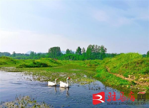 确山县石滚河镇何大庙村天上仙境现人间