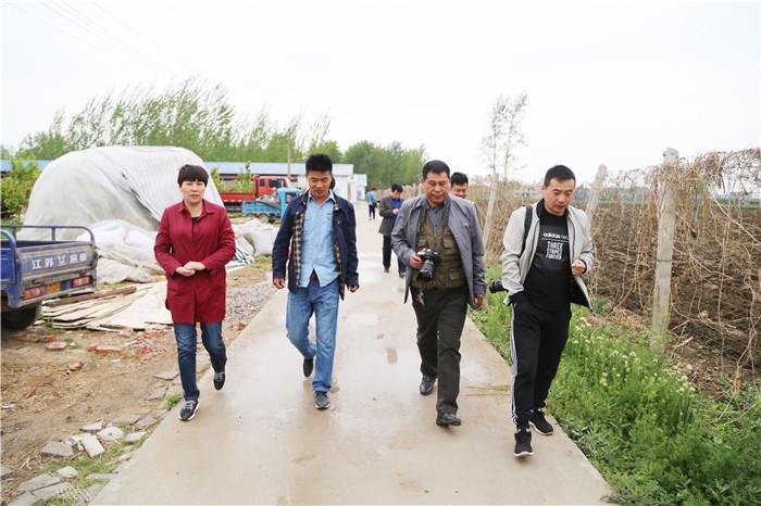 太和县?倪邱镇:做中药产业文章 培育种养大户规模化经营