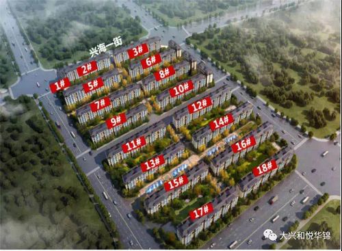 和悦华锦一期-大兴区限竞房最新施工进度,踩盘时间2020年6月25日,购买