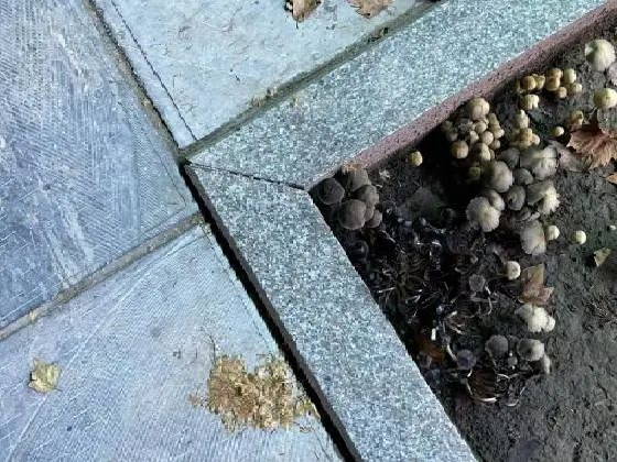 在图书馆的台阶上看书,偶然发现了心形的云朵,干净通透,就像我们的