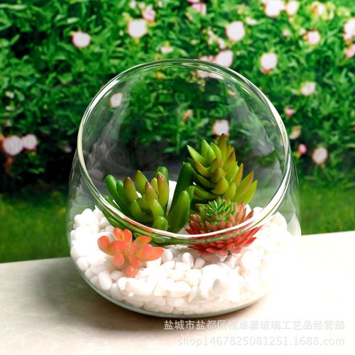 微景观玻璃花瓶大斜口造景瓶多肉苔藓植物水培花瓶量大从优