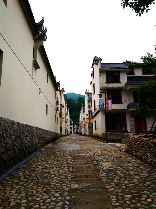 松阳小竹溪村:美丽如花 期许绽放