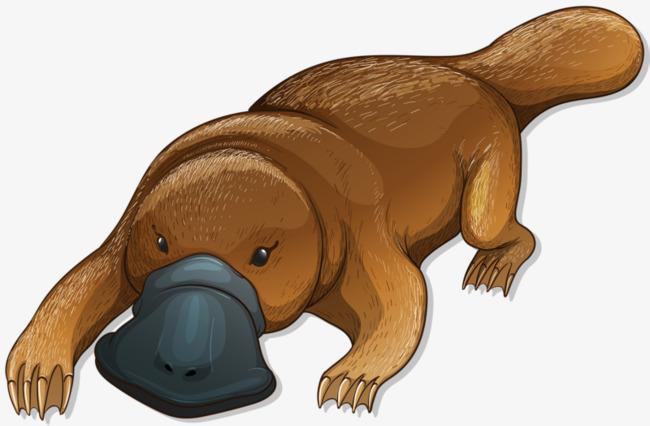 卡通鸭嘴兽