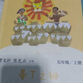 曼丁之狮读后感