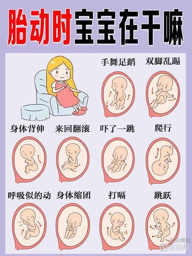 孕晚期胎动宝宝都在干嘛呢?