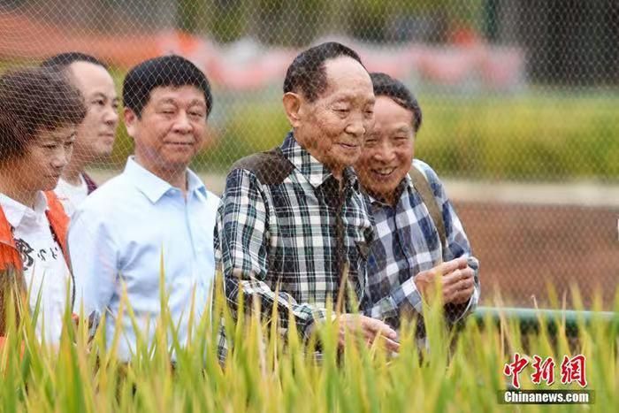 袁隆平为何不轻易在外吃饭?