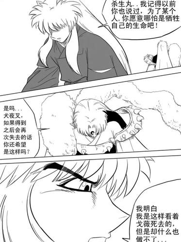 犬夜叉和杀生丸的对话