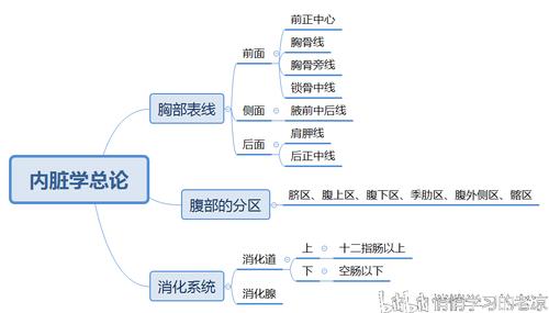药理学系解思维导图