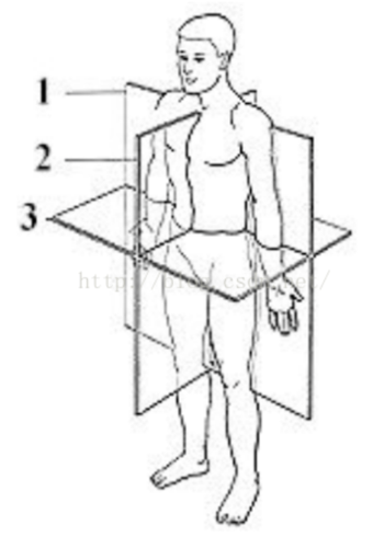 ct的axial, sagittal and coronal views(轴位,矢状位,冠状位)以及ct