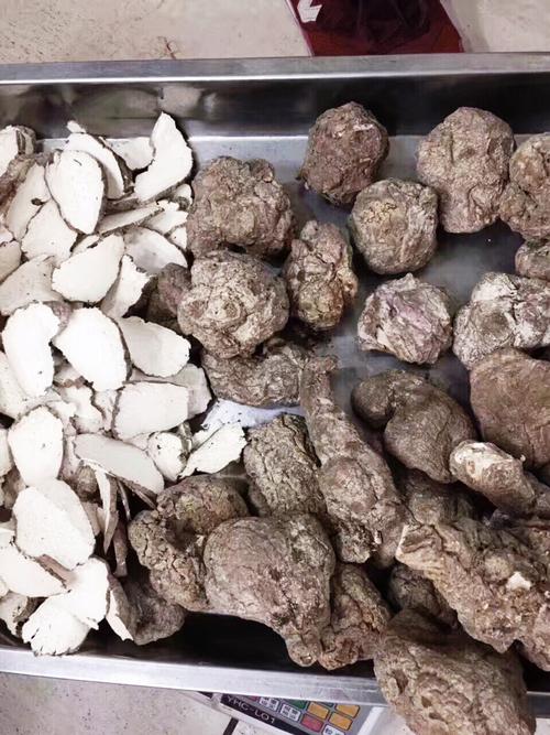 虎乳菌排骨/瘦肉汤
