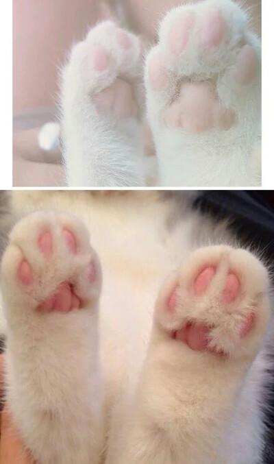 粉粉嫩嫩的背景 - 堆糖,美图壁纸兴趣社区