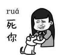 抓着一只猫:rua死你_金馆长妈蛋表情网md.itlun.cn