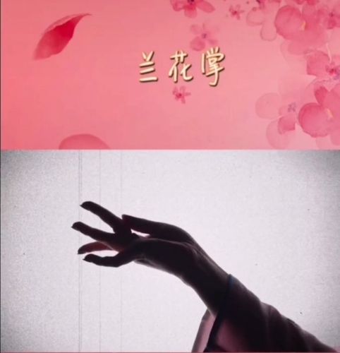 2.兰花掌