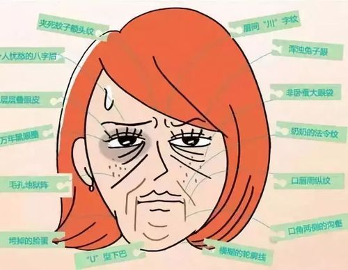 干细胞是个宝,改善和预防女性卵巢早衰与更年期综合征