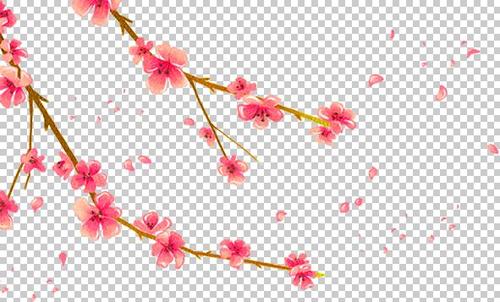 梅花花瓣素材图片
