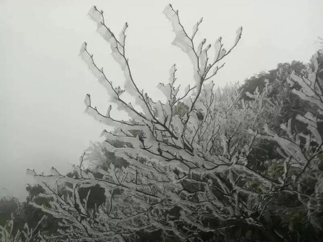 广东7个看雪看雾凇好去处推荐,不容