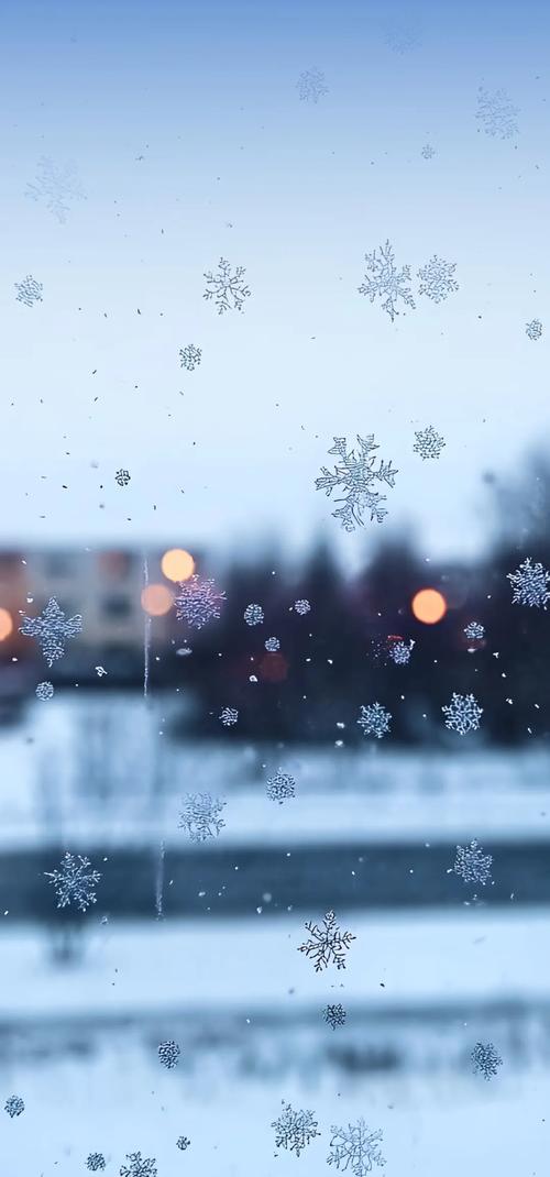 ❄️窗棂上的雪精灵