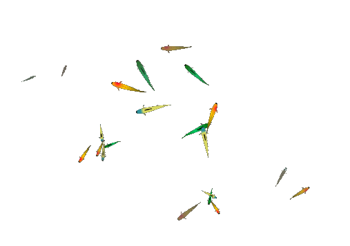 【原创素材】透明鱼类gif动画图片制作 a