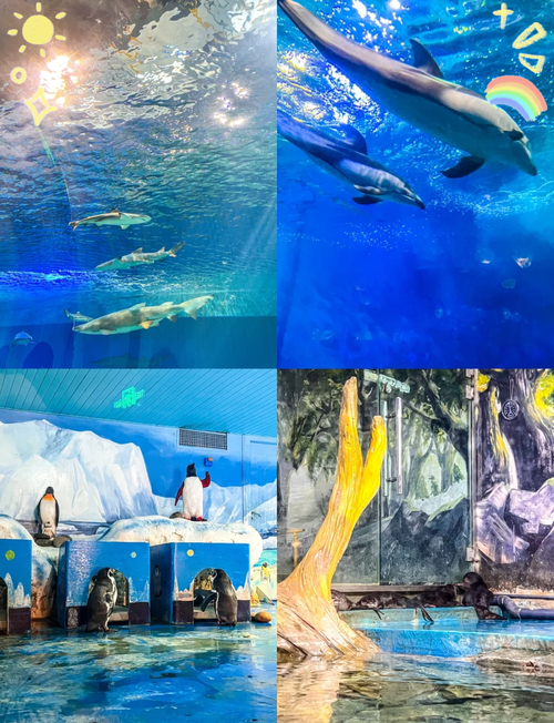 �重庆汉海海洋公园:五一畅游海底世界�